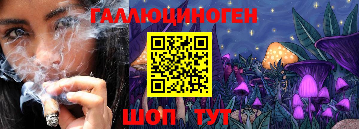 Псилоцибиновые грибы GOLDEN TEACHER  Вход с VPN  Галлюциногенные грибы мицелий  Псков 