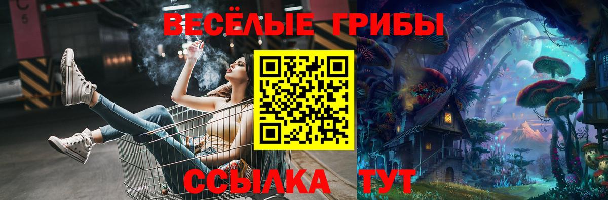 Псилоцибиновые грибы GOLDEN TEACHER Псков