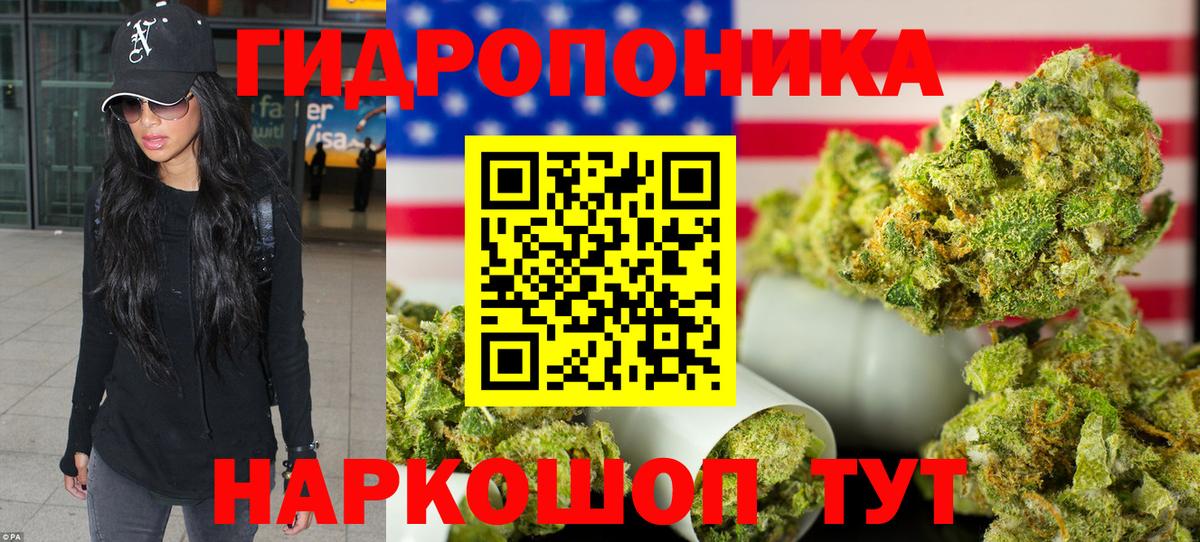 МАРИХУАНА планчик Псков